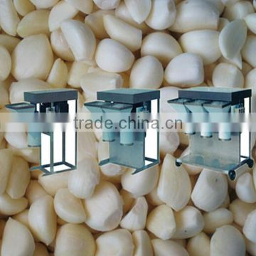 best price for garlic ginger grinding machine