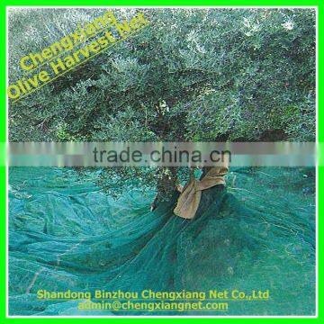 HDPE Plastic Olive Net