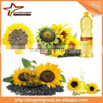 Hot Sale Sunflower Oil Refining Machine Sunflower Seeds Oil Extract Machine Sunflower Oil Press Machine photo-3
