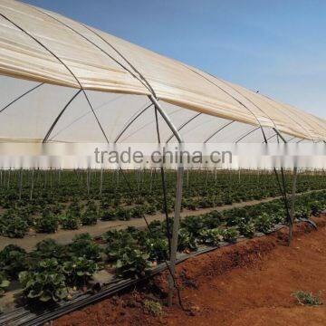 Economical greenhouse/Vegetable greenhouse