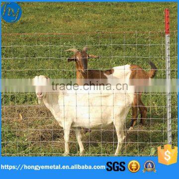 China High Tensile Galvanised Hinge Joint Cattle Farm Fence For Grassland photo-5