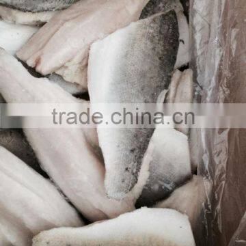 Frozen Seabass Fillets 50-100g Lateolabrax Japinicus photo-3