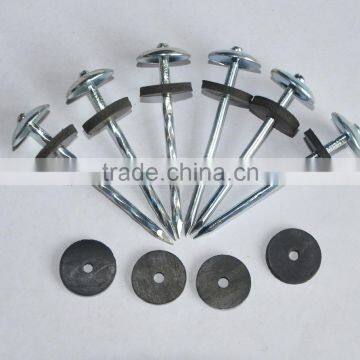 Rubber Washer Roofing Nails