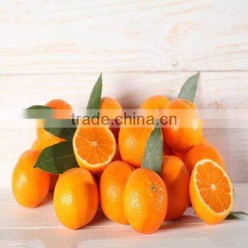 Nanfeng Honey Baby Orange photo-2