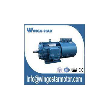 Variable Speed Electric Motor