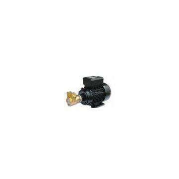 Rotary Vane Pump