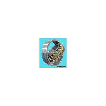 double row cylindrical roller bearing