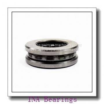 INA Bearing