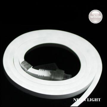 RGB LED Neon Flexible Rope Light Environmental Light Decoration Light Christmas Light Outdoor Waterproof photo-3