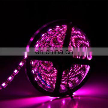 Relight Full Spectrum Led Strip Grow Lights for Vegetable Cultavation and Greens Growth photo-3