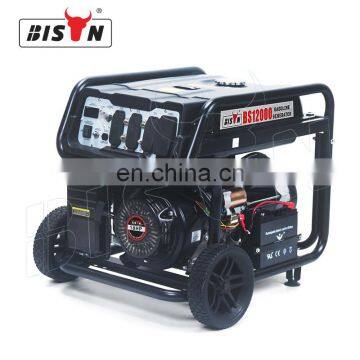 BISON 10 Kva Single Phase Generator 10Kw Gasoline Generator Price Electric Start photo-6