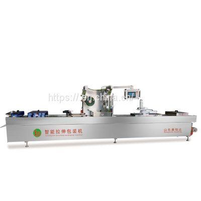 DZ-420 Automatic Vacuum Packaging Machine Backing Machine Stretch Film Sealing Machine photo-4