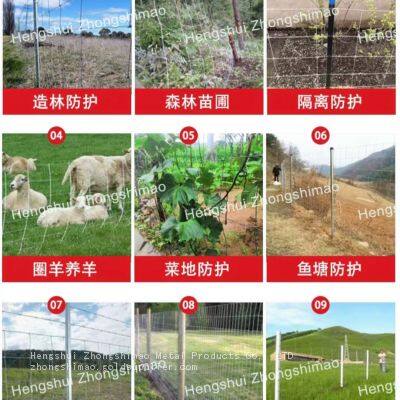 Grassland fence/Field Fence/Galvanized Steel Mesh/ stock fencing wire/Cattle fence