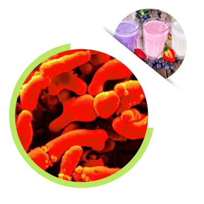 Probiotic Manufacturer Supply Bifidobacterium Breve Probiotic Powder 100 Billion CFU/g For Food