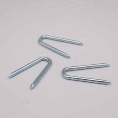 Q195 Carbon Steel U Type Nails for Fence Staples With Zinc Plating photo-4