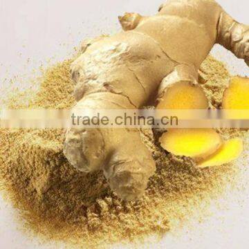 Dried Ginger Powder Manufacturer and Supplier