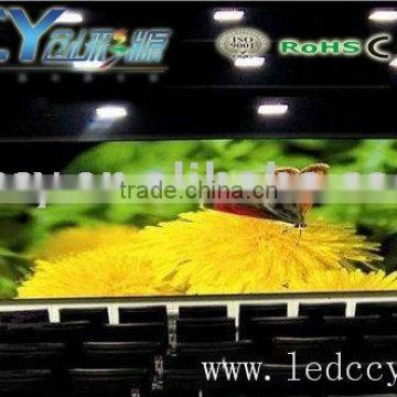 led latest product alibaba express