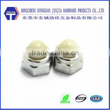 dongguan precise Nylon cap nut