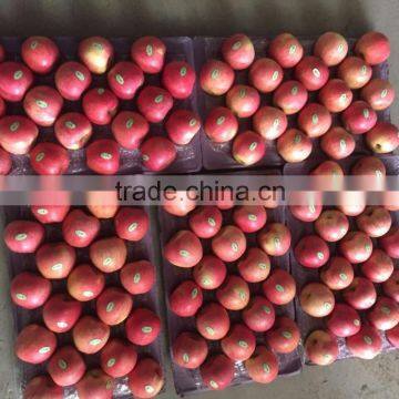 JINGCHUAN QINGUAN photo-3