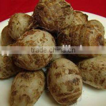 New crop taro root with high quality