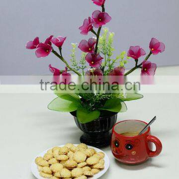 Alpha Egg Cream Biscuit - High Quality and Competitive Price photo-3