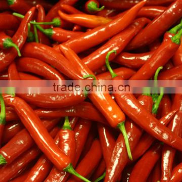 High Quality Dried Red Chili Peppers