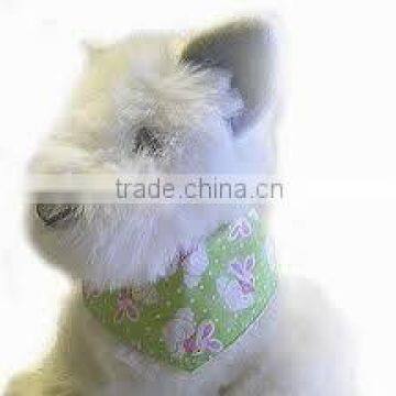 easter pet bandana