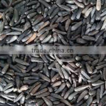 Niger Seeds/nyjer Seeds From India