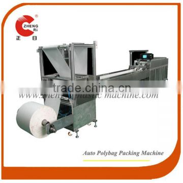 Auto PE bag Packing Machine