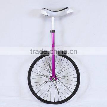 24 Inch Aluminum Alloy Self-balancing Unicycle