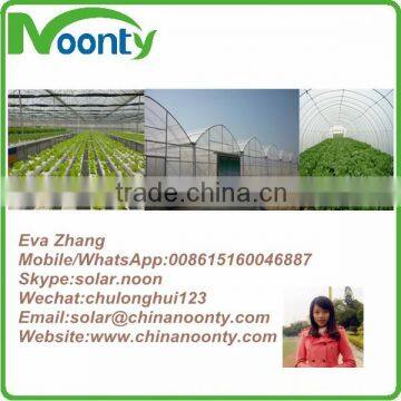 Professional Greenhouse Project Commercial Hydroponic Systems photo-5