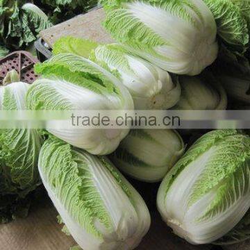 low price cabbage 2012