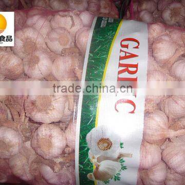 Dehydrated Vegetable Air Dried White Garlic photo-3