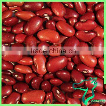 Square Type Red Kidney Beans Wholesale