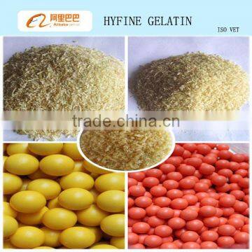 Hide Glue Paintball Gelatin Industry/bovine Gelatin/technical Gelatin Granule