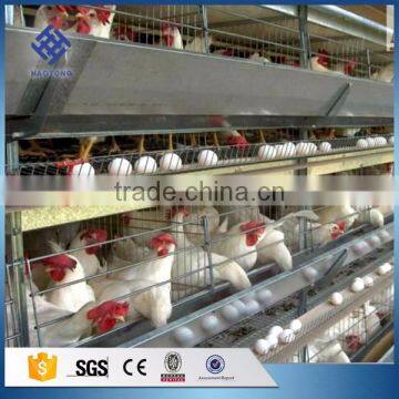 30 Years' factory supply battery cages for chickens factory