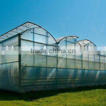 Used Greenhouse Natural Ventilation Greenhouses for Sale photo-2
