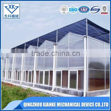 China Supplier Agricultural Multi Span Polycarbonate Greenhouse