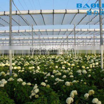 Galvanized Steel Structure pc Sheet Cover Used Commercial Greenhouses photo-4