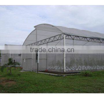 Single-Span Hot-Dip Galvanized Steel Pipe Frame 200mm PVC Film Covered Greenhouse