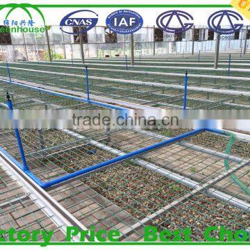 Agriculture Farming/ Greenhouse photo-6