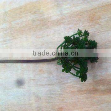 Home and Outdoor Garden Edging Christmas Decoration 60cm or 24inches Height Artificial Small Grass for Green Wall E04 1043 photo-5