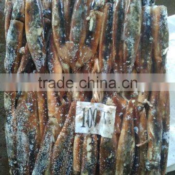 Wholesale Fresh Frozen Illex Squid Price