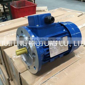 MSL low cost design IEC Standard B5 0.75kW Electric motor