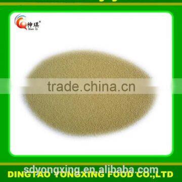 Instant Active Dry Yeast for Food Industry photo-3