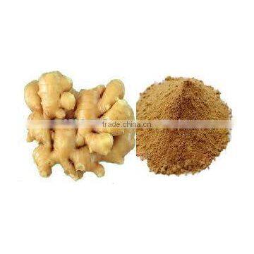 Zingiber Officinale Extract photo-3