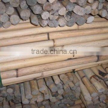 White Rattan Malacca Cane