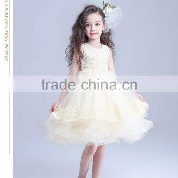Hot Designs Children Handmade Flower Girl Dress Patterns Cute Dresses photo-3