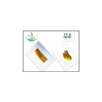 High Quality&Reasonable Price PI film heater