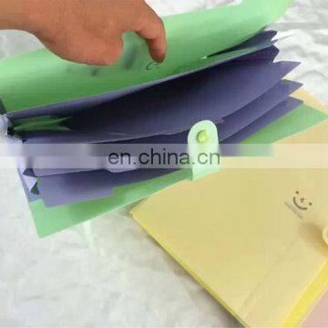 China Manufacture pp file bag with pockets